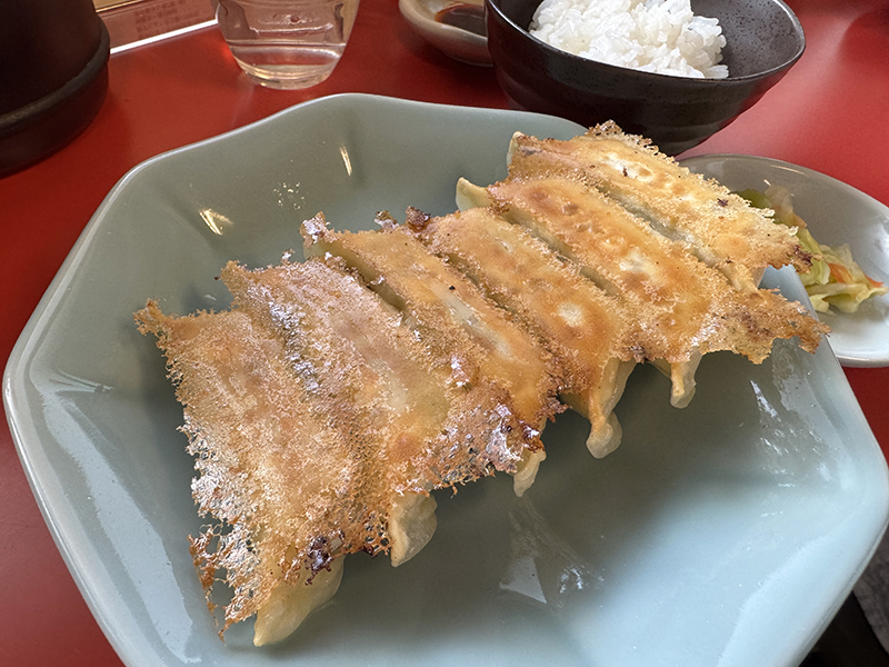 宇都宮みんみんの餃子