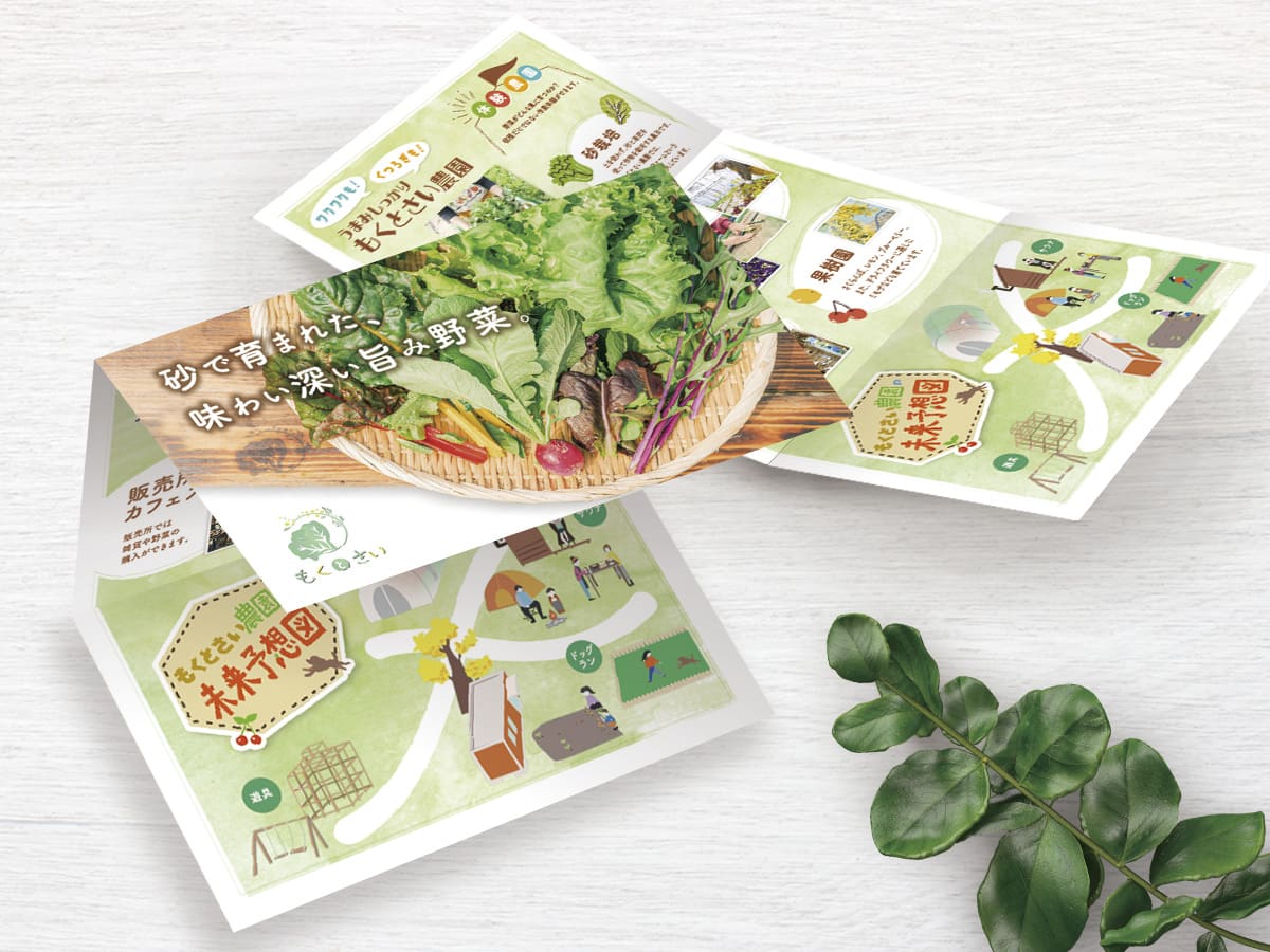 カードパンフレット